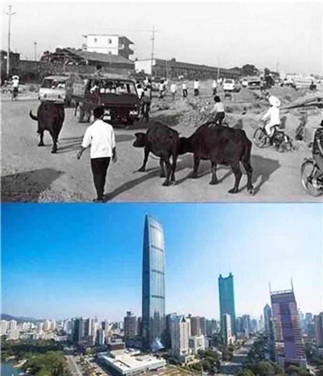 微信图片_20180702151253改.jpg